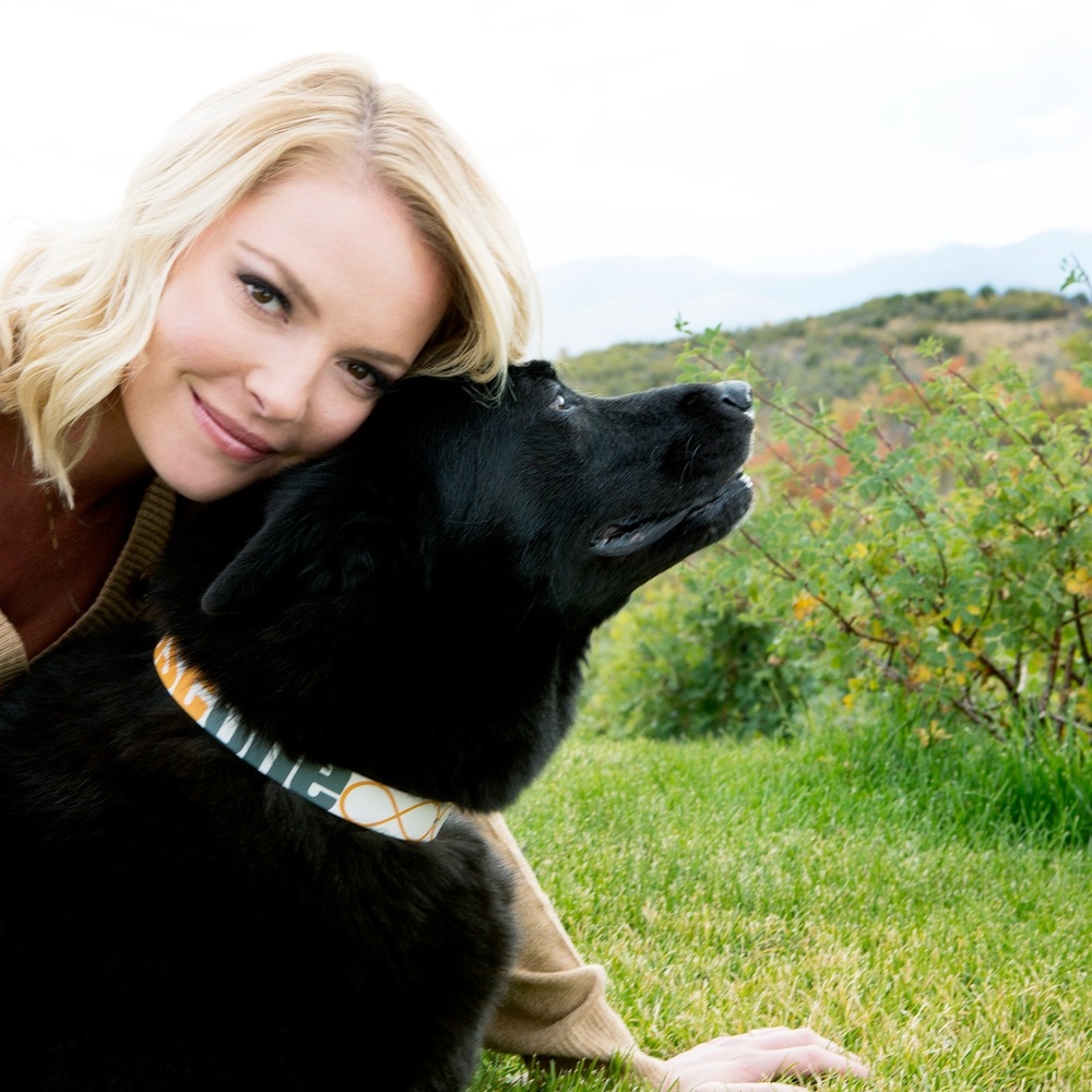 Welcome to our closet! - Picture 2 of 3